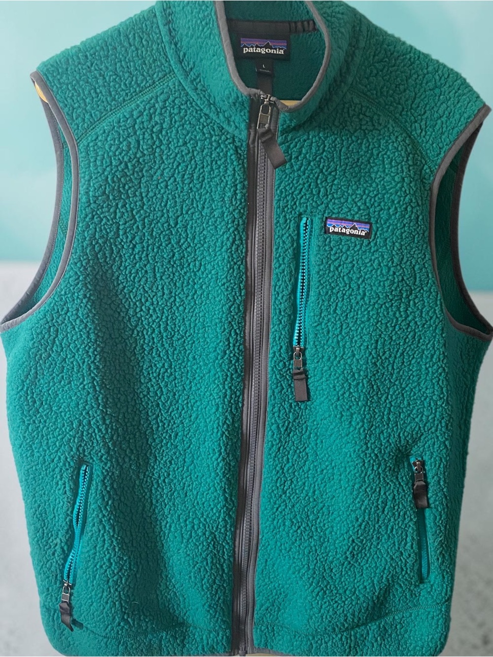 Patagonia Teal Sherpa Fleece Vest